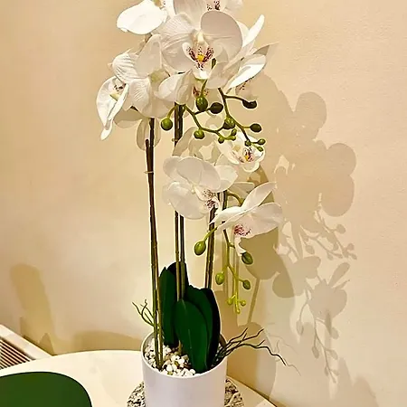 - Au Vieux Palais Hotel 3*